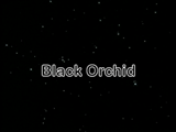 Black Orchid Titles