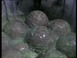 The Invisible Enemy alien eggs