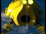 Paradise Towers pool cleaner robot
