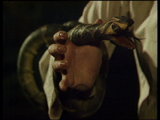 Snakedance snake on arm